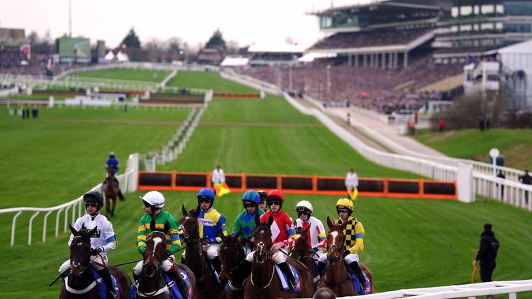 Novice hurdlers and chasers to follow at Cheltenham