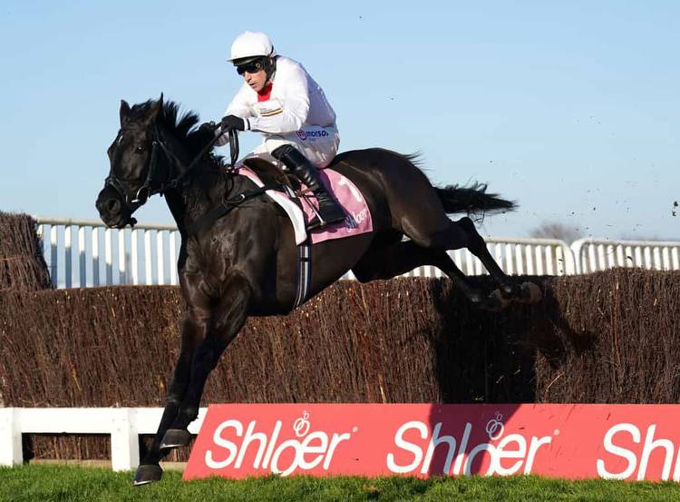 Nube Negra untroubled at long odds-on in Shloer Chase