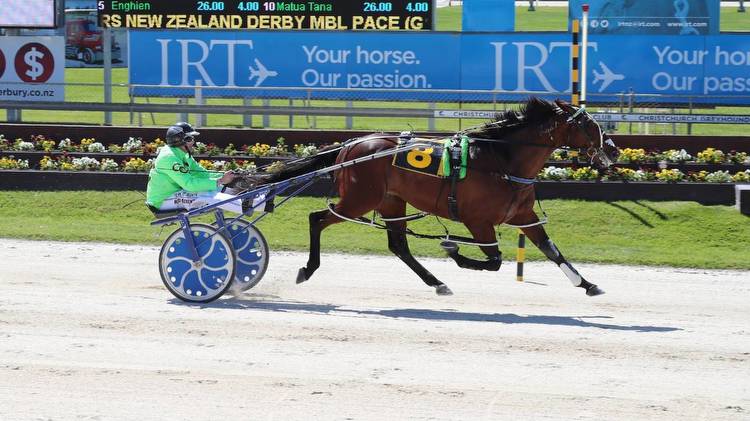 NZ Trotting Cup: The Purdon dynasty charges on with Akuta warm favourite