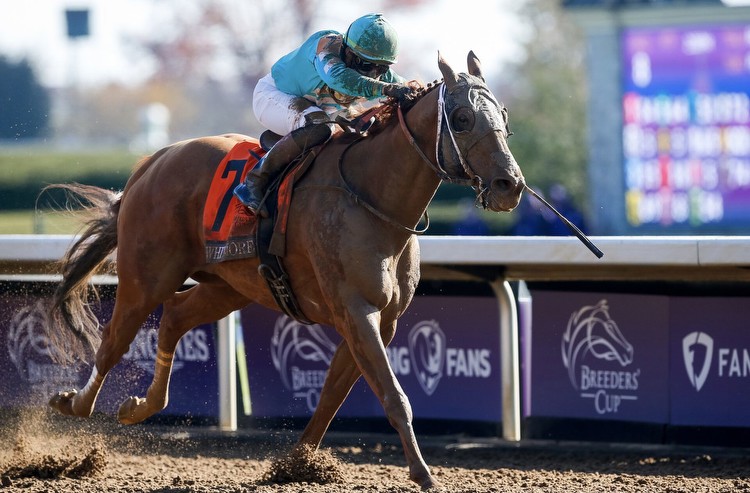 Oaklawn Park Picks 3/16: Whitmore Stakes