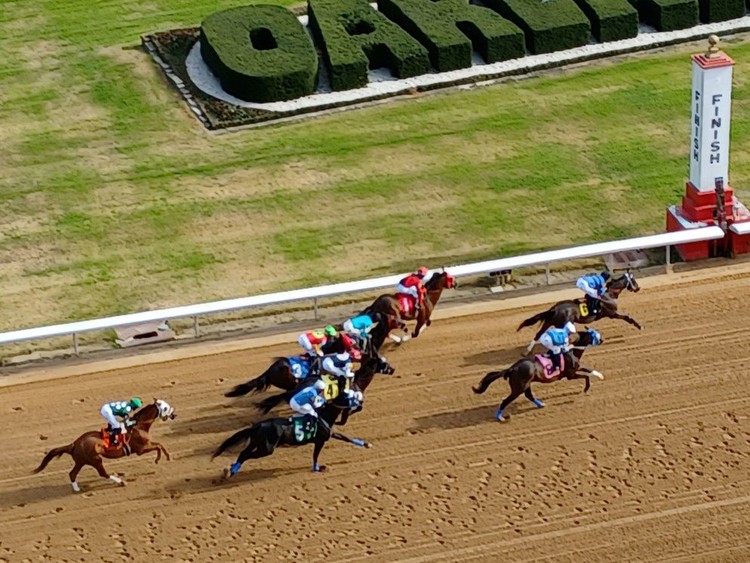 Oaklawn Park Picks & Betting Selections for Saturday February 12