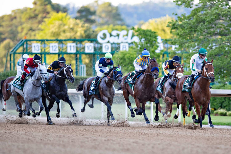 Oaklawn Park Picks & Free Handicapping for Friday March 25
