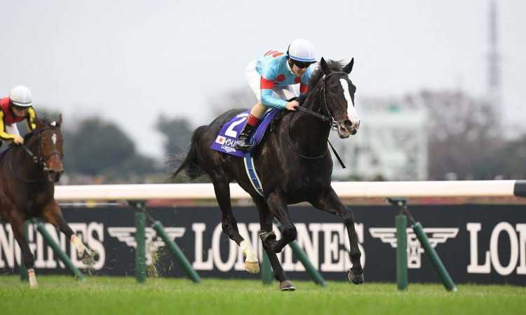 [ODDS and EVENS] Equinox Meets Expectations with a Masterful Performance in the Japan Cup