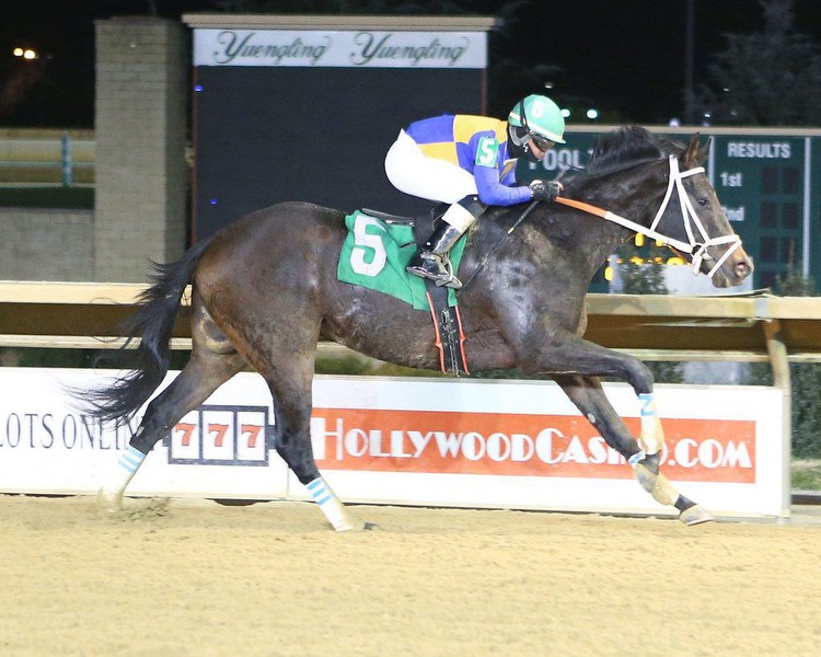 O'Sullivan Farms to be well represented at Funkhouser Memorial Stakes * The Racing Biz