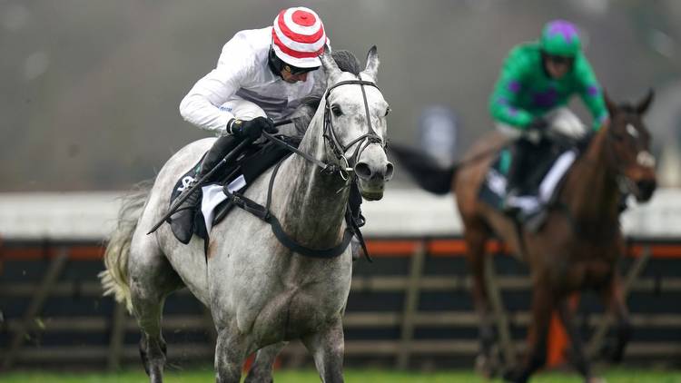 Paddy Power Gold Cup preview: Dan Skelton confident over Unexpected Party claims