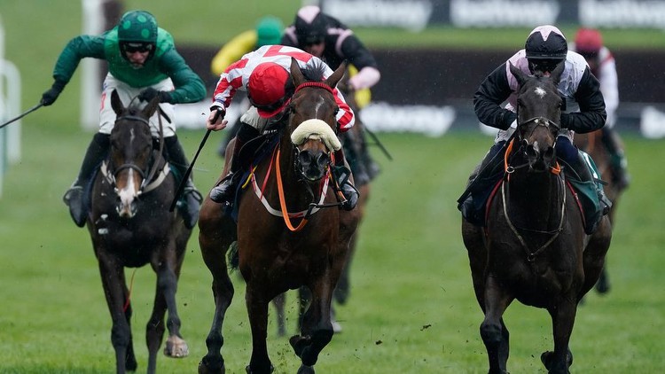 Paddy Power Gold Cup: The Real Whacker to start season at Cheltenham