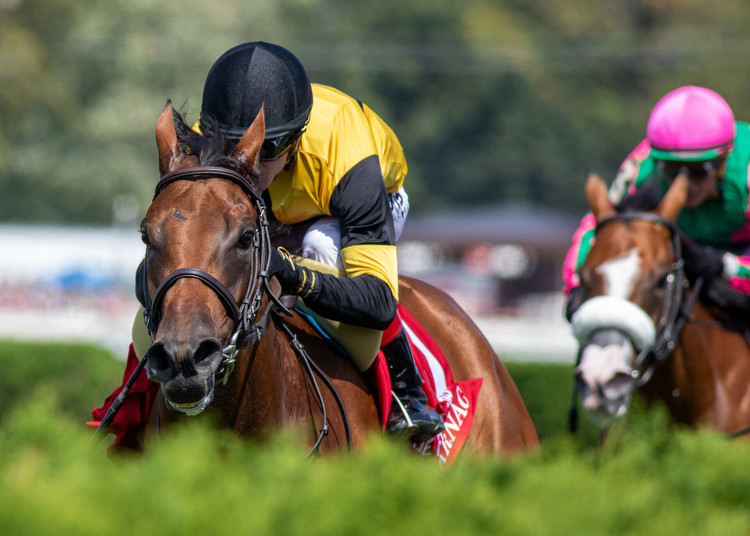 Parnac Wires Breeders' Cup Filly & Mare Turf Prep At Saratoga