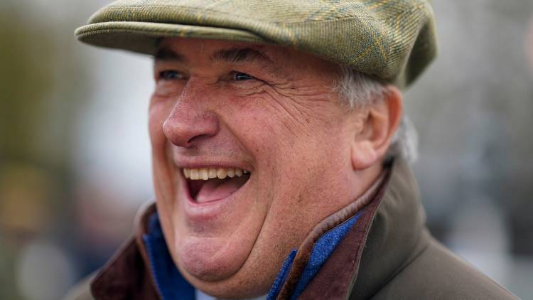 Paul Nicholls snaps up potential star horse who 'looked almost too good' on astonishing debut