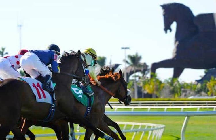 Pegasus World Cup 2022: Odds and analysis