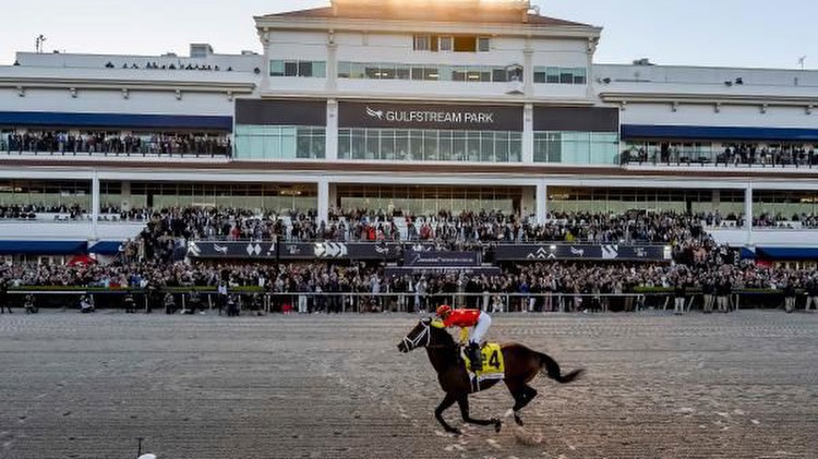 Pegasus World Cup Betting Championship Offers Prize Money in Excess of $250K