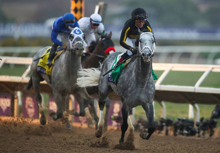 Pegasus World Cup Picks and 2022 Wagering Guide