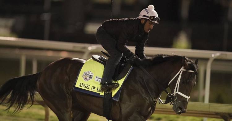 Pennsylvania-Bred Angel of Empire Races Toward Belmont Stakes Record