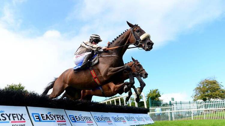 Peter Fahey on the mark again at Galway with Ambitious Fellow