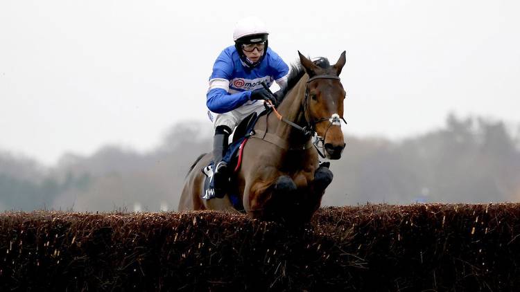 Pic D'Orhy in great heart ahead of Coral Silviniaco Conti Chase at Kempton