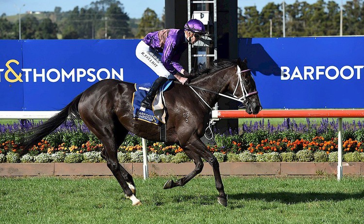 Platinum Invador in great nick for Pukekohe weight-for-age