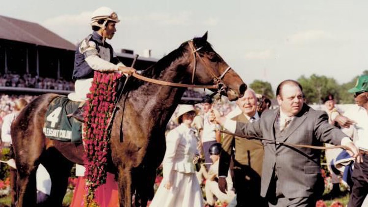 Pleasant Colony: 1981 Kentucky Derby Winner Was a Genuine Racehorse