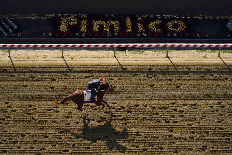 Preakness 2023: Mage could keep Triple Crown chance alive in race of 7 horses