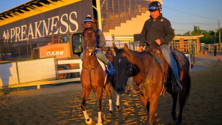 Preakness picks, trifecta and superfecta bets