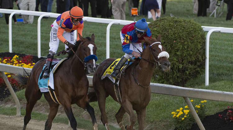 Preakness Stakes 2020 winner: Swiss Skydiver captures title in photo finish