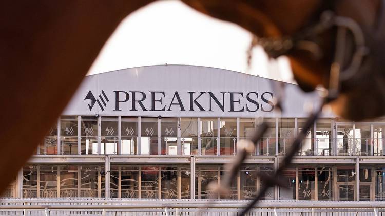 Preakness Stakes Picks, Predictions and Odds for All Horses
