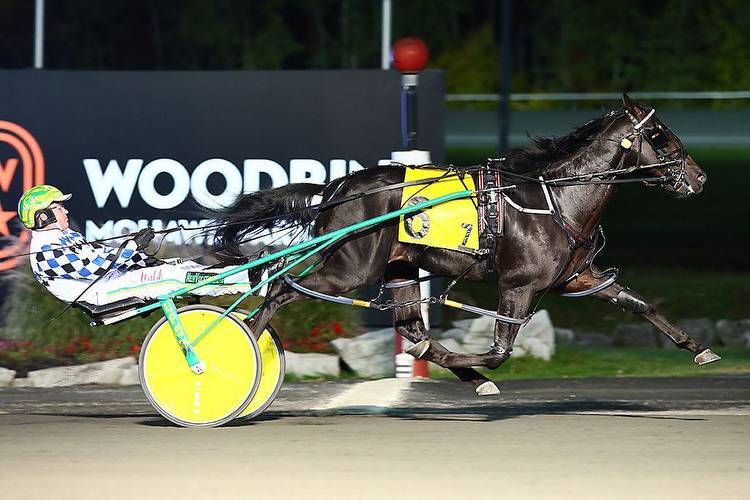 Preview of the Meadowlands Pace favorites