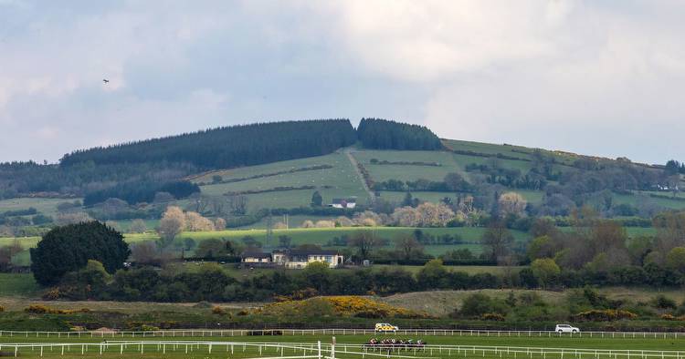 Punchestown Festival 2023 day 1 full race card and tips