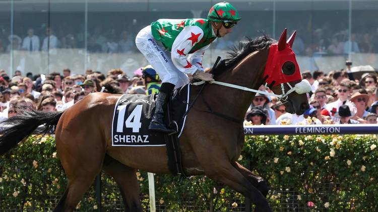 Punter turns $200 into $2.7 million on Melbourne Cup