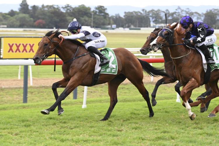 Punters back talented sprinter in the Starlight Stakes