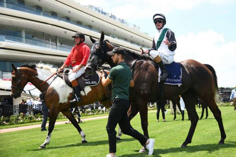 Punter's Edge: Early value for Saturday's racing around Australia