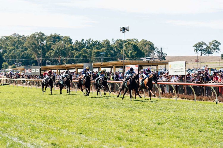Punters' guide to the Oakbank carnival