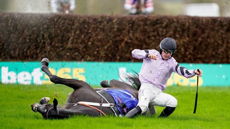 Punters in a state of shock as certain winner throws away victory with final-fence disaster