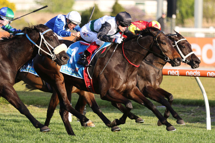 Punters looking on the Brightside in the Makybe Diva Stakes