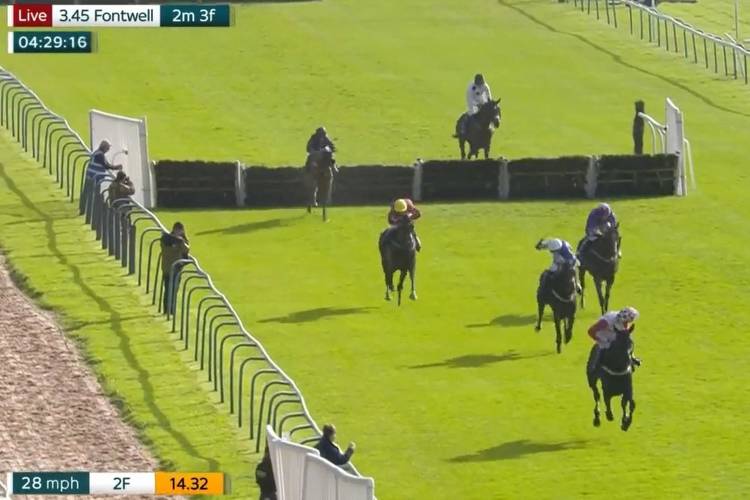 Punters lose more than £13,000 after horse 'throws away' victory in shock finish which saw winning jockey banned