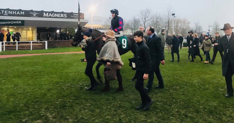 Punters raise a glass to horse Back On The Lash after amazing win at Cheltenham races