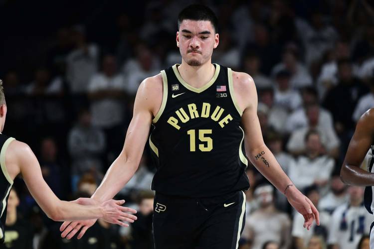 Purdue vs Michigan Odds, Picks, & Predictions Tonight