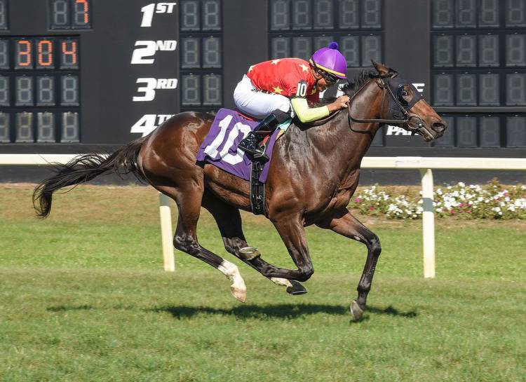 Quality Road Colt Cruises in Columbia