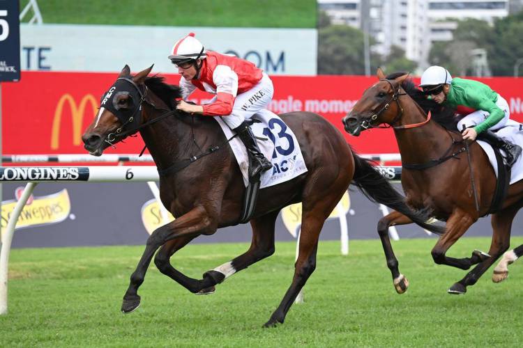 Queensland Oaks the likely target for Verona
