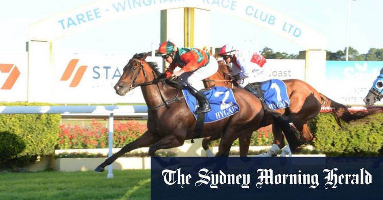 Race-by-race preview and tips for Taree on Friday