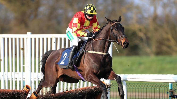Race of the Day: Neil King and Jack Quinlan to strike with Onemorefortheroad at Ascot?