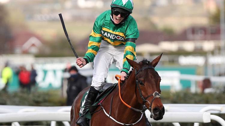 Rachael Blackmore's historic Grand National-winning horse Minella Times retired aged ten