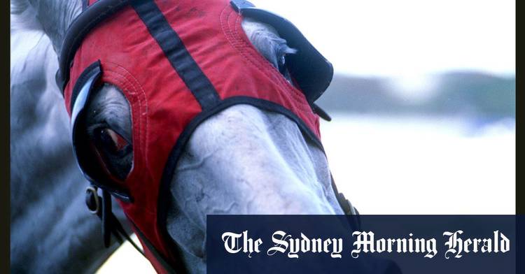 Racing 2022: Full preview and tips for Monday meeting at Queanbeyan