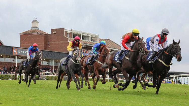 Racing abandoned at Sedgefield after fifth race marred by two fatalities