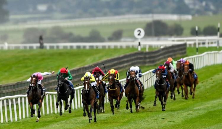 RACING: Dates for 2023 major festivals revealed