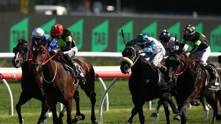 Racing: New Zealand’s greatest ever racing punt? Kiwi wins $10 million from TAB