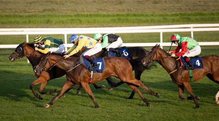 RACING:  Tipperary winners galore all across the past week 