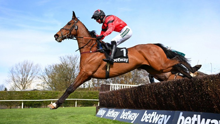 Racing tips: Best bets and odds for King George VI Chase and other races on Boxing Day