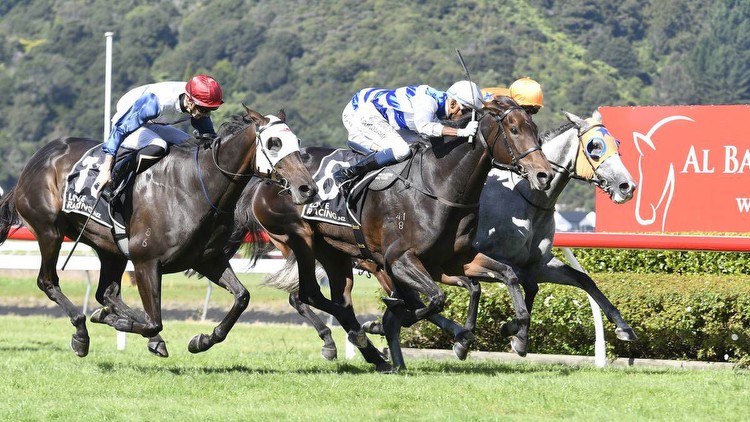 Racing: Vela horse to chase glory in Melbourne’s Matriarch Stakes