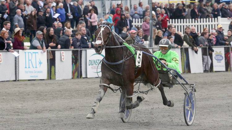 Racing: Warning over the return of stars in Founders Cup