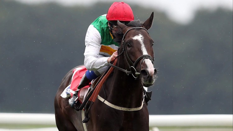 Rags-to-riches superstar horse Pyledriver retired aged six due to injury