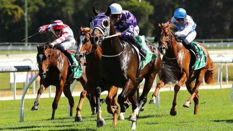 Sydney Racing: Gosford Gold Cup